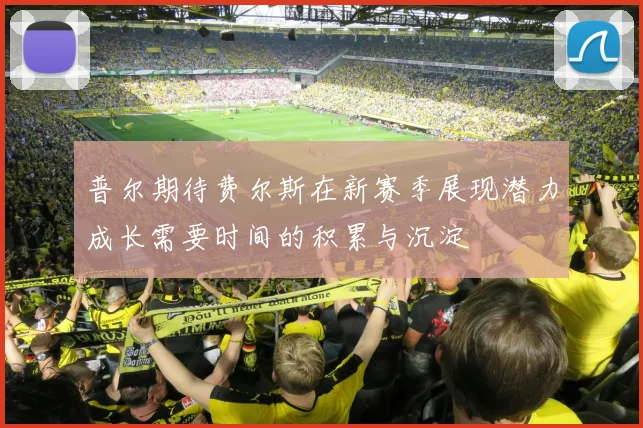 普尔期待费尔斯在新赛季展现潜力成长需要时间的积累与沉淀