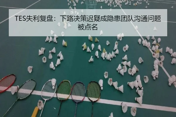 TES失利复盘：下路决策迟疑成隐患团队沟通问题被点名（xingkong）
